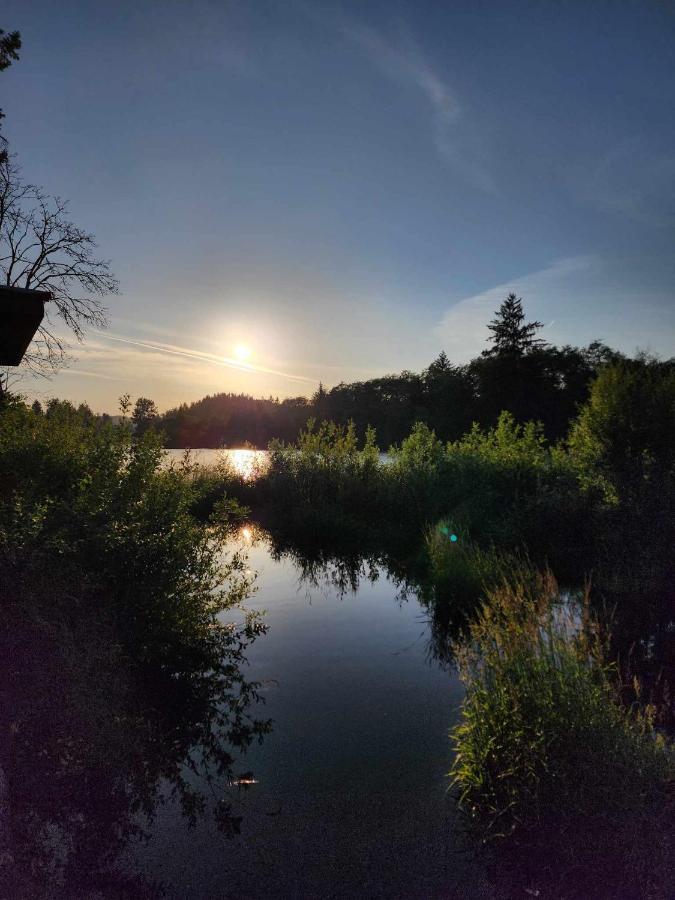 Campbell River Lodge エクステリア 写真