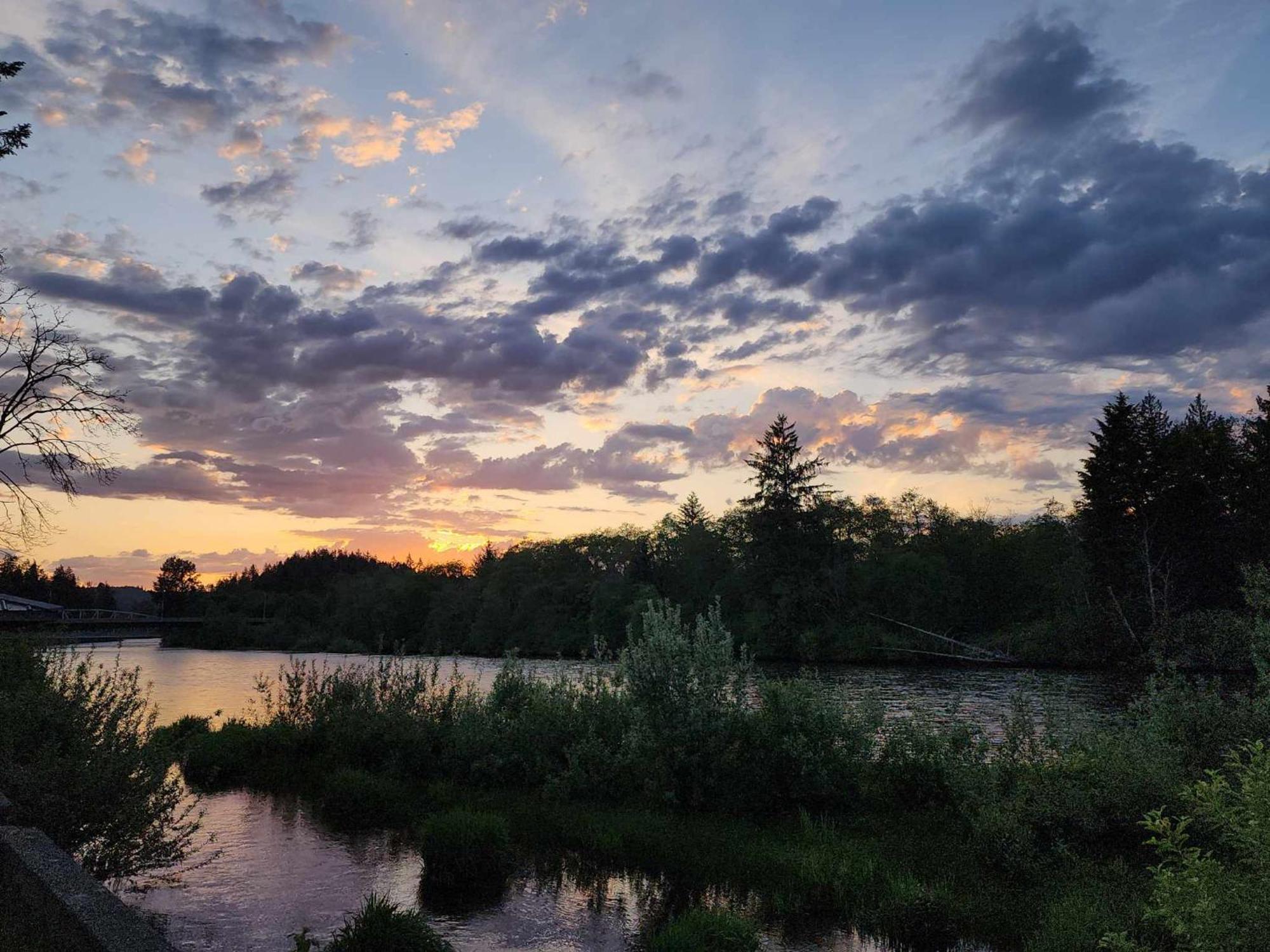 Campbell River Lodge エクステリア 写真