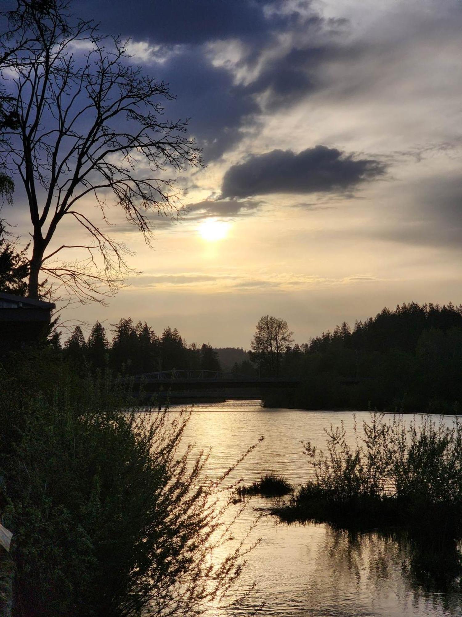 Campbell River Lodge エクステリア 写真